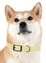 8449087758110888213_4096.jpeg
