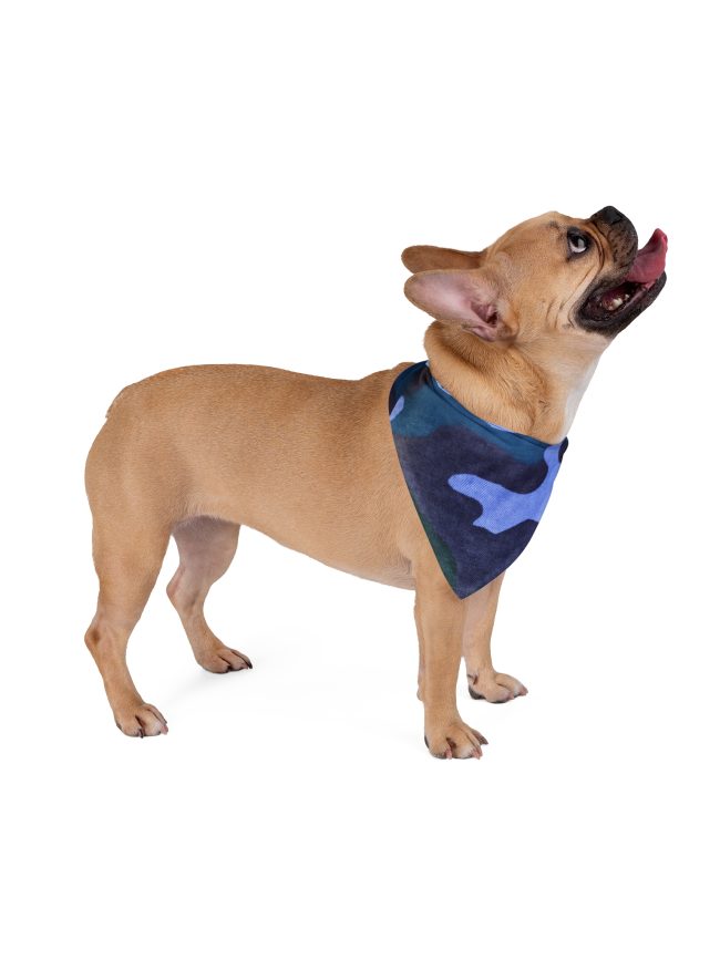 Pet Bandana