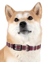 9083817460364745482_4096.jpeg