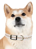 9297134553805425175_4096.jpeg