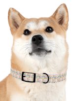9369262444988235238_4096.jpeg