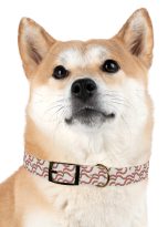 9427131467854306257_4096.jpeg