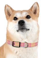 980853047452130676_4096.jpeg