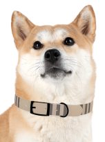 10026662198980519252_4096.jpeg