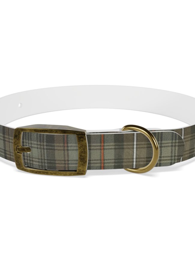 Stylish Dog Collar, Personalized Pet Accessory, Custom Dog Gear, Fashionable Pup Collar, Perfect Gift for Dog Lovers