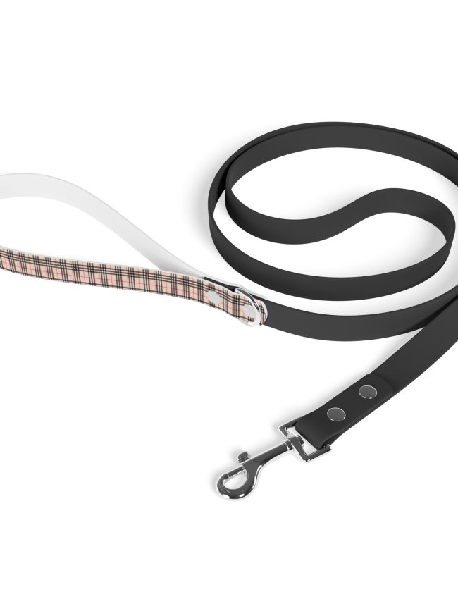 Leash