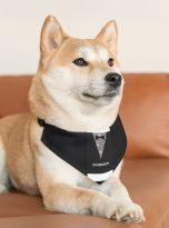 10201696702765430810_2048.jpeg
