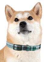 10800195406490562098_4096.jpeg