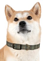 10930833090833150259_4096.jpeg