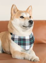 11196396212149323038_2048.jpeg