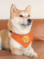 11247635824026893139_2048.jpeg