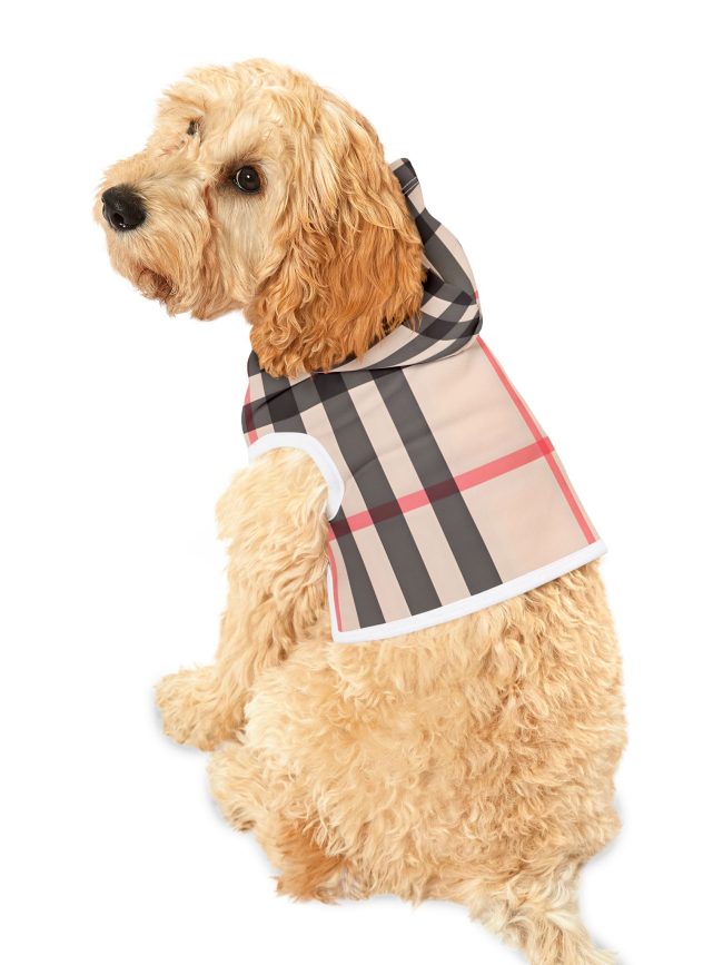 Stylish Plaid Pet Hoodie for Fashion-Forward Pets