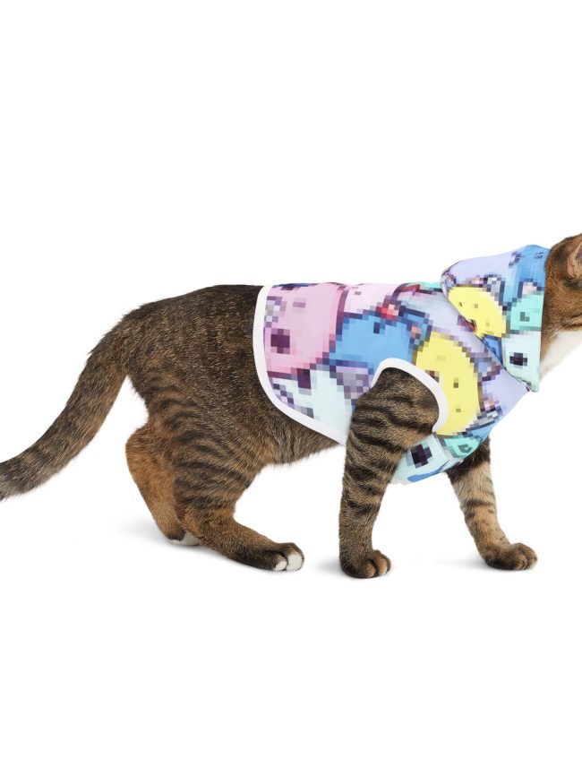 Colorful Pixelated Pet Hoodie - Cute and Cozy Dog Sweater