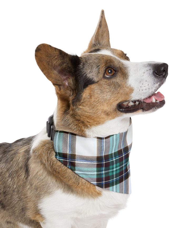 Stylish Pet Bandana Collar - Plaid Design for Dogs | Perfect for Celebrations and Everyday Wear
