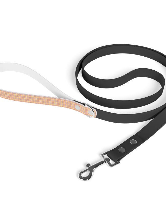 Leash