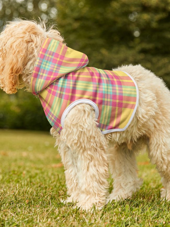 Colorful Plaid Pet Hoodie - Cozy & Stylish Dog Wear for Every Season