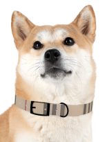 12497885818453750982_4096.jpeg