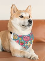 12675882568516992393_2048.jpeg