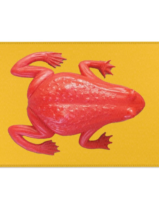 Frog-Pattern Area Rug, Fun Home Décor, Colorful Carpet for Kids & Teens, Unique Gift, Vibrant Living Room Accent