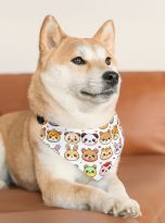 12870081742269700833_2048.jpeg