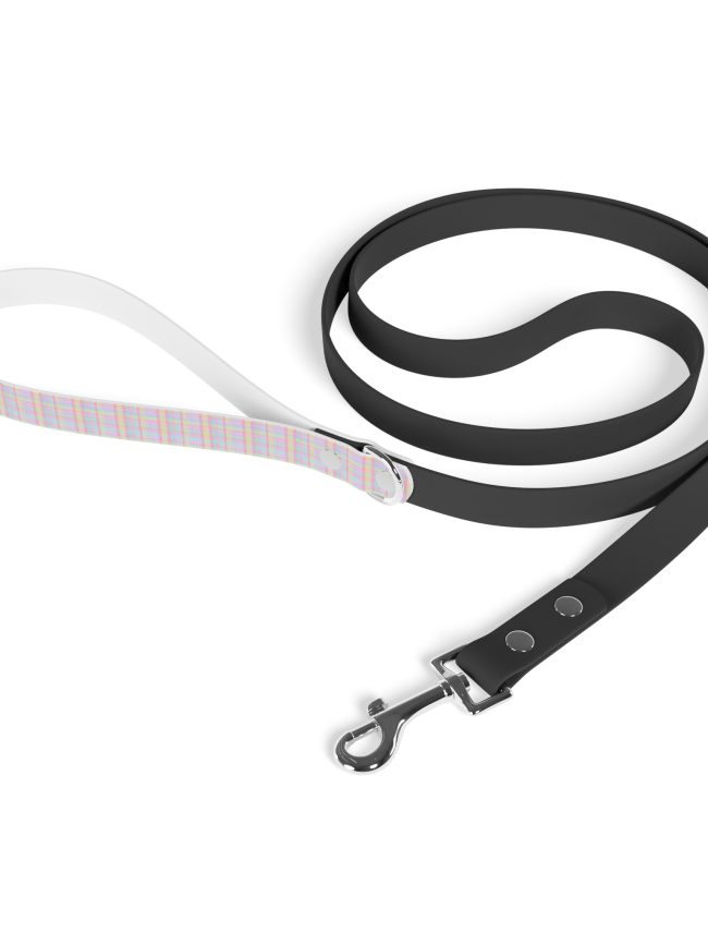 Leash