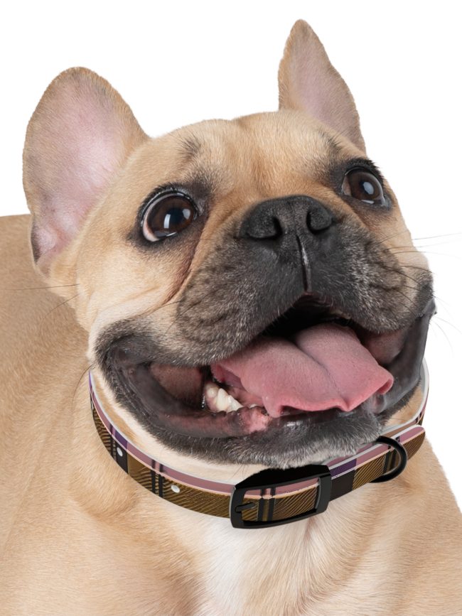 Chic Plaid Dog Collar for Stylish Pets - Adjustable & Durable