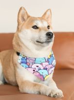 1419237587639261298_2048.jpeg