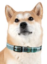 1451386686383709681_4096.jpeg