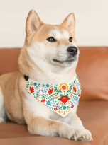 14627952626012787126_2048.jpeg