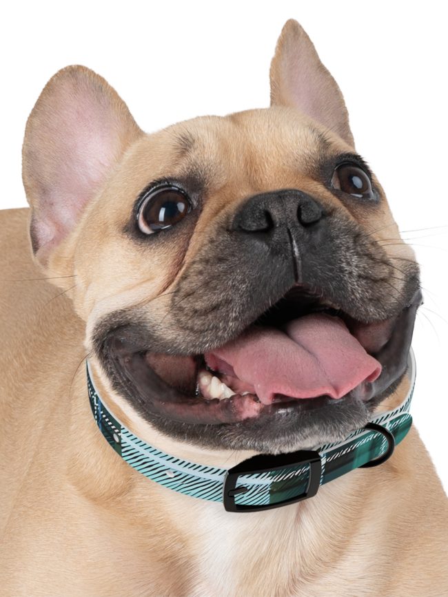 Stylish Plaid Dog Collar - Chic Dog Accessory for Fashionable Pets