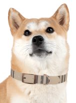 14847678748089364757_4096.jpeg