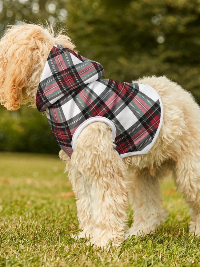 Stylish Plaid Pet Hoodie for Cozy Winter Days