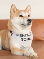 1537401911368914215_2048.jpeg