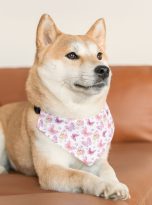 15784372042363665444_2048.jpeg