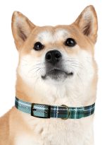 16782368515066436881_4096.jpeg