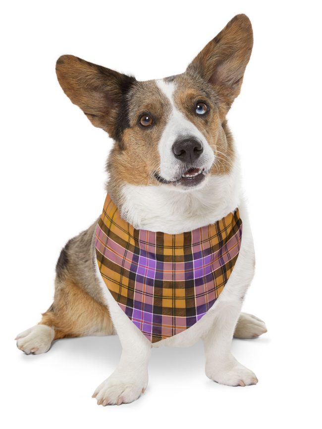 Stylish Plaid Pet Bandana Collar for Dogs - Perfect for Fall Celebrations