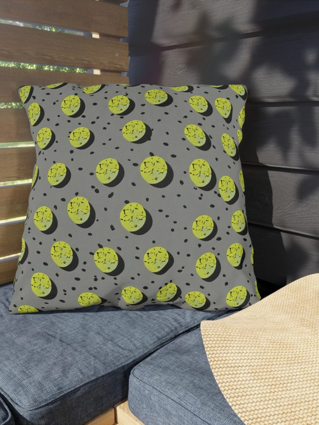 Outdoor Pillows