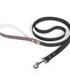 Leash