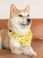 18387697072327620631_2048.jpeg