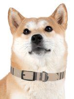 2010348249111933_4096.jpeg