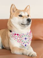 2075247824284072651_2048.jpeg