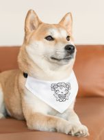 2446032883828050870_2048.jpeg