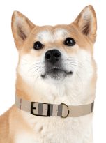 2587820648007561898_4096.jpeg