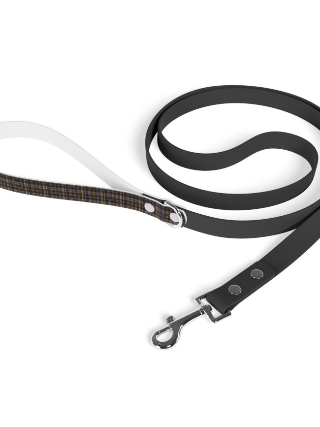 Leash