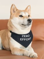 3272485209055665821_2048.jpeg