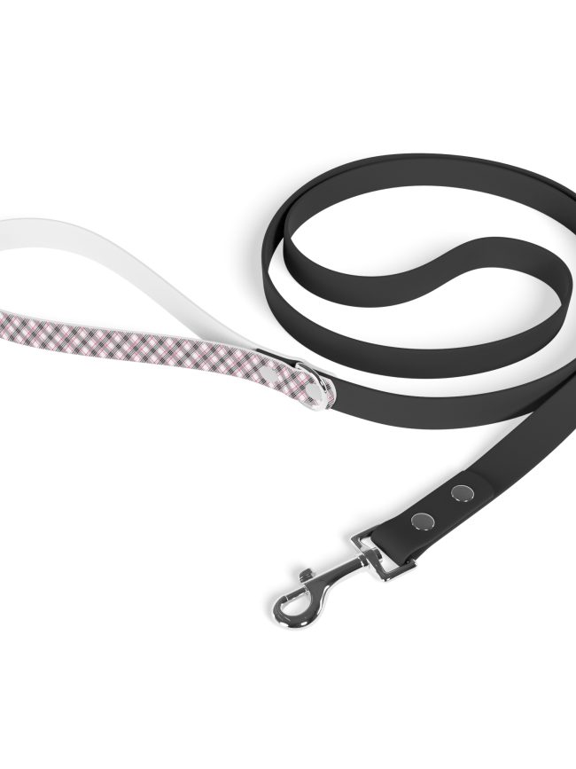 Leash