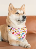 3513565527961282478_2048.jpeg