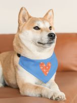 4164725368525813289_2048.jpeg