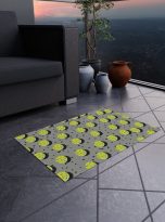 4204709205237237980_2048.jpeg
