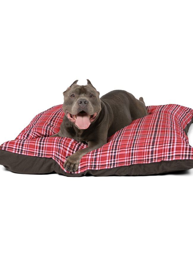 Pet Bed